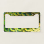 Peacock Feathers II Colorful Nature License Plate Frame