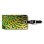 Peacock Feathers II Colorful Nature Luggage Tag
