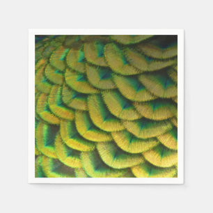 Peacock Feathers II Colorful Nature Paper Napkins