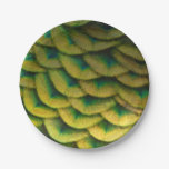 Peacock Feathers II Colorful Nature Paper Plates