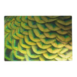 Peacock Feathers II Colorful Nature Placemat