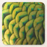 Peacock Feathers II Colorful Nature Square Paper Coaster