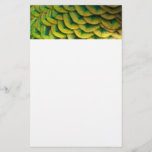 Peacock Feathers II Colorful Nature Stationery