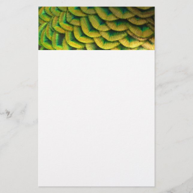 Peacock Feathers II Colorful Nature Stationery (Front)
