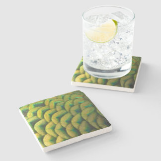 Peacock Feathers II Colorful Nature Stone Coaster