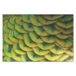 Peacock Feathers II Colorful Nature Tissue Paper