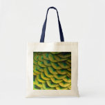 Peacock Feathers II Colorful Nature Tote Bag