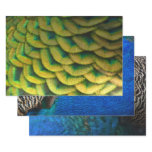Peacock Feathers II Colorful Nature Wrapping Paper Sheets