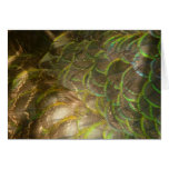 Peacock Feathers III (Female) Subtle Nature Design Cards