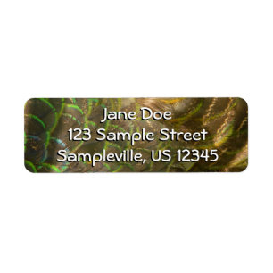 Peacock Feathers III (Female) Subtle Nature Design Label