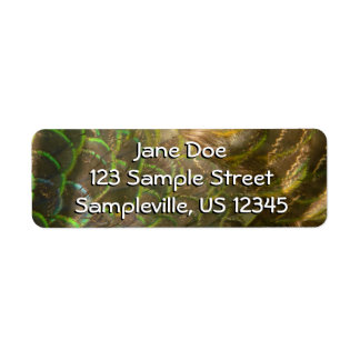 Peacock Feathers III (Female) Subtle Nature Design Label