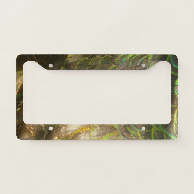 Peacock Feathers III (Female) Subtle Nature Design License Plate Frame (Front)