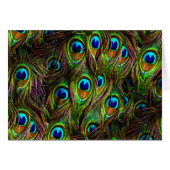 Peacock Feathers Invasion (Front Horizontal)