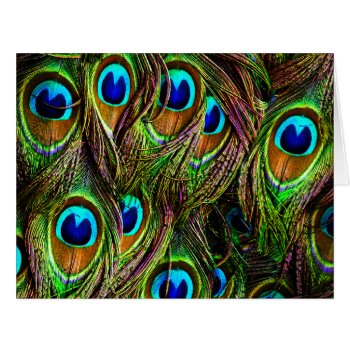 Peacock Feathers Invasion by BonniePhantasm at Zazzle