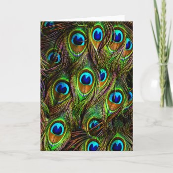 Peacock Feathers Invasion Card by BonniePhantasm at Zazzle