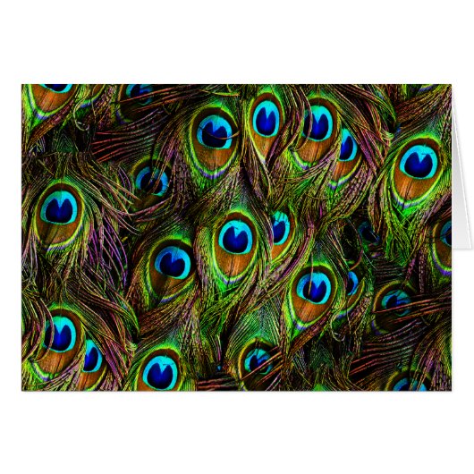 Peacock Feathers Invasion Cards (Front Horizontal)