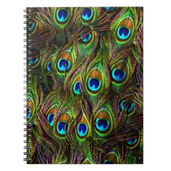 Peacock Feathers Invasion Notebook by BonniePhantasm at Zazzle