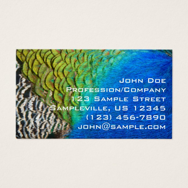 Peacock Feathers IV Colorful Abstract Nature (Front)