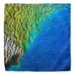 Peacock Feathers IV Colorful Abstract Nature Bandana