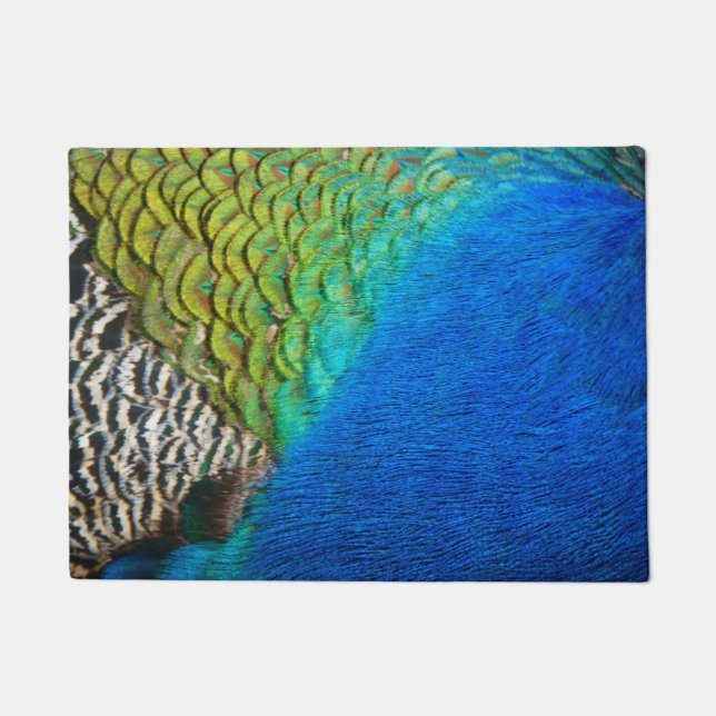Peacock Feathers IV Colorful Abstract Nature Doormat (Front)