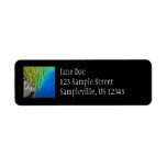 Peacock Feathers IV Colorful Abstract Nature Label