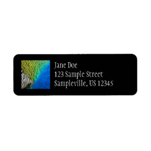 Peacock Feathers IV Colorful Abstract Nature Label