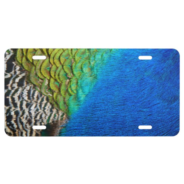 Peacock Feathers IV Colorful Abstract Nature License Plate (Front)