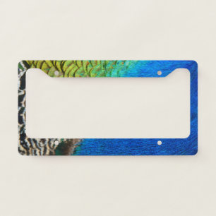 Peacock Feathers IV Colorful Abstract Nature License Plate Frame