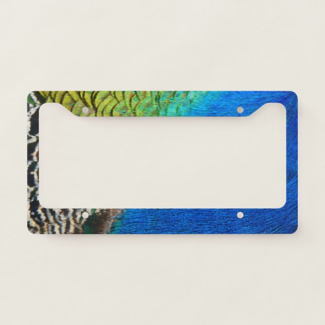 Peacock Feathers IV Colorful Abstract Nature License Plate Frame (Front)