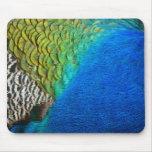 Peacock Feathers IV Colorful Abstract Nature Mouse Pad