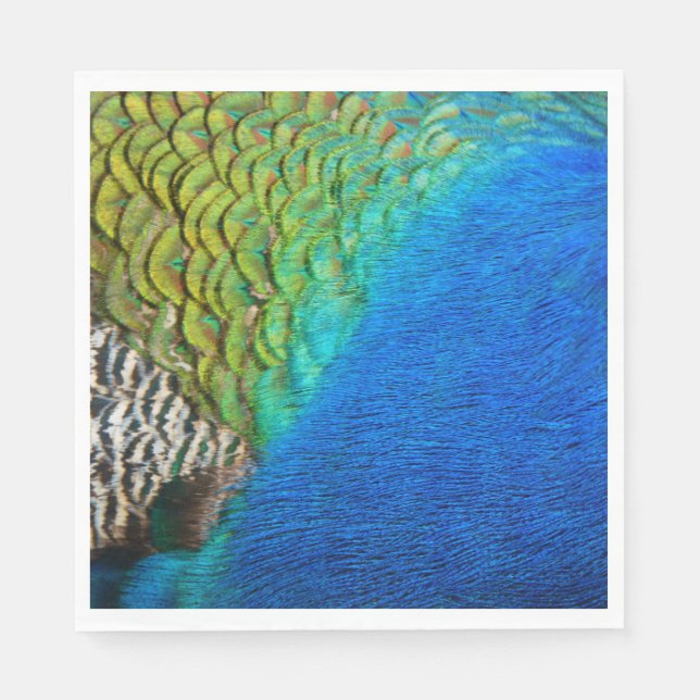 Peacock Feathers IV Colorful Abstract Nature Napkins (Front)