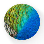 Peacock Feathers IV Colorful Abstract Nature Paperweight