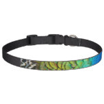 Peacock Feathers IV Colorful Abstract Nature Pet Collar