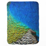 Peacock Feathers IV Colorful Abstract Nature Receiving Blanket
