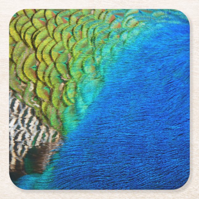 Peacock Feathers IV Colorful Abstract Nature Square Paper Coaster (Front)