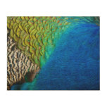 Peacock Feathers IV Colorful Abstract Nature Wood Wall Art