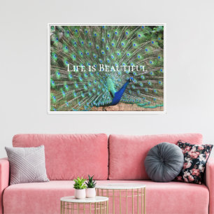 Peacock Feathers Kauai Hawaii Canvas Print