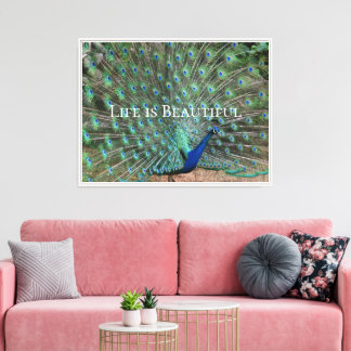 Peacock Feathers Kauai Hawaii Canvas Print