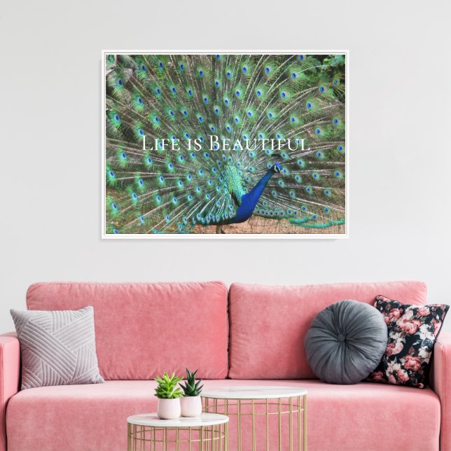 Peacock Feathers Kauai Hawaii Canvas Print (Insitu(LivingRoom))