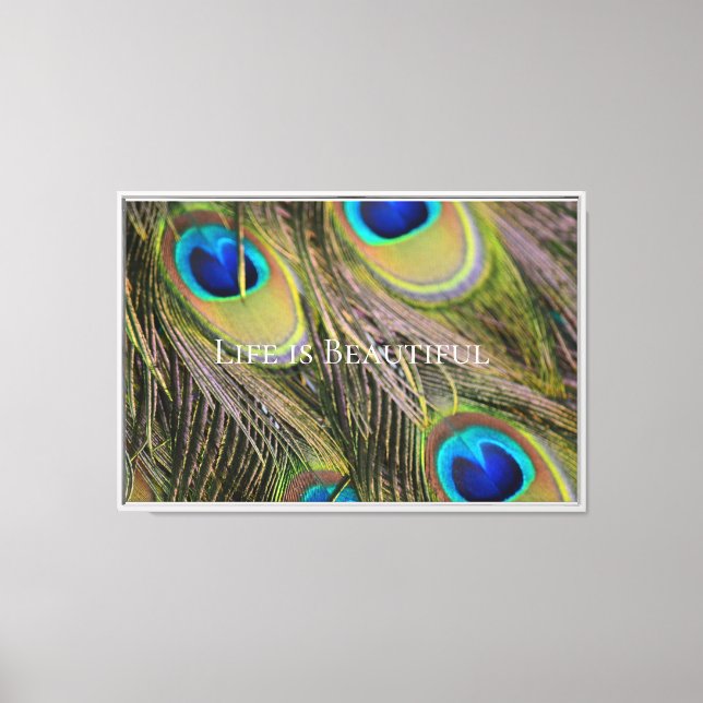 Peacock Feathers Kauai Hawaii Canvas Print (Front)