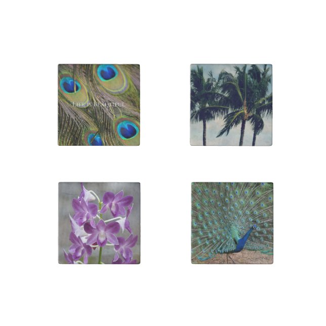 Peacock Feathers Kauai Hawaii Stone Magnet (Front)