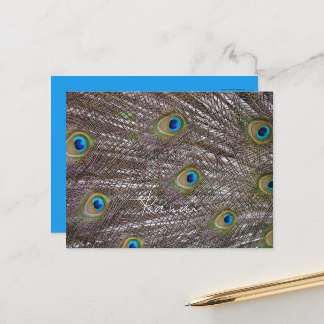 Peacock Feathers Kauai Postcard (Front/Back In Situ)