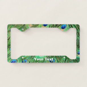Peacock Feathers License Plate Frame