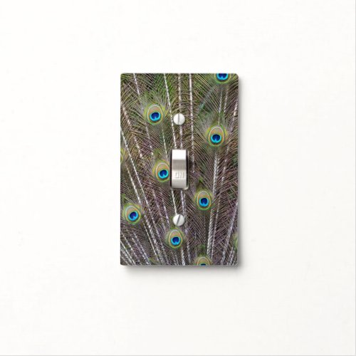 Peacock Feathers Light Switch Cover