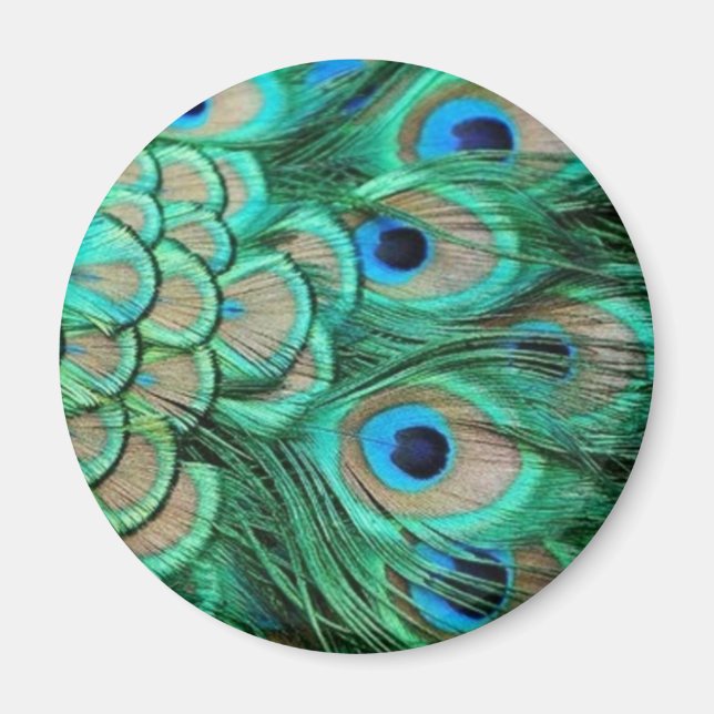 PEACOCK FEATHERS MAGNET (Front)