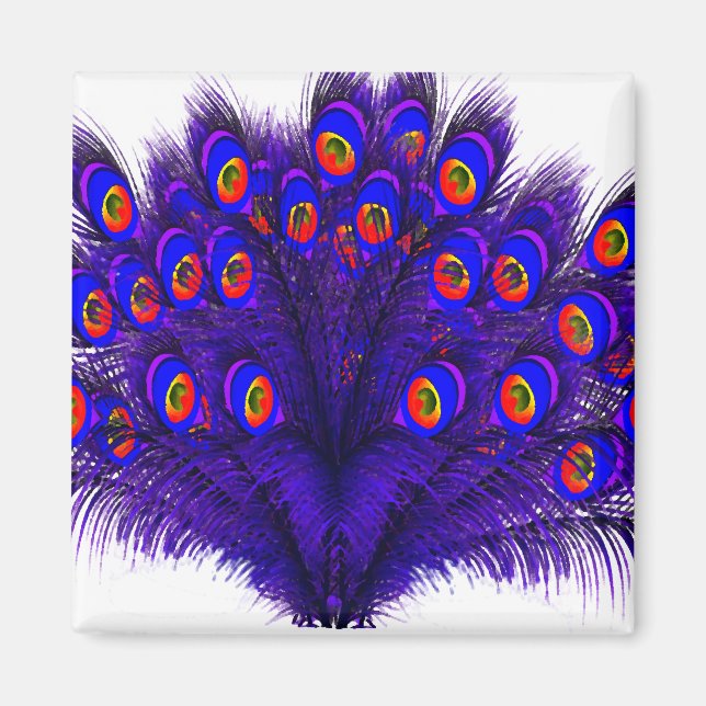 Peacock Feathers Magnet (Front)