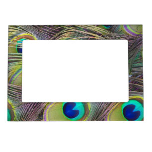 Peacock Feathers Magnetic Frame