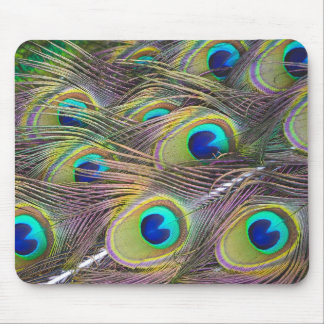 Peacock Feathers Mouse Pad