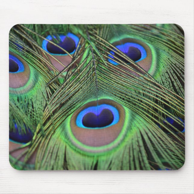 Peacock Feathers Mouse Pad (Front)