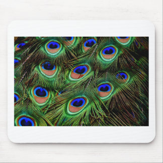 Peacock Feathers Mouse Pad
